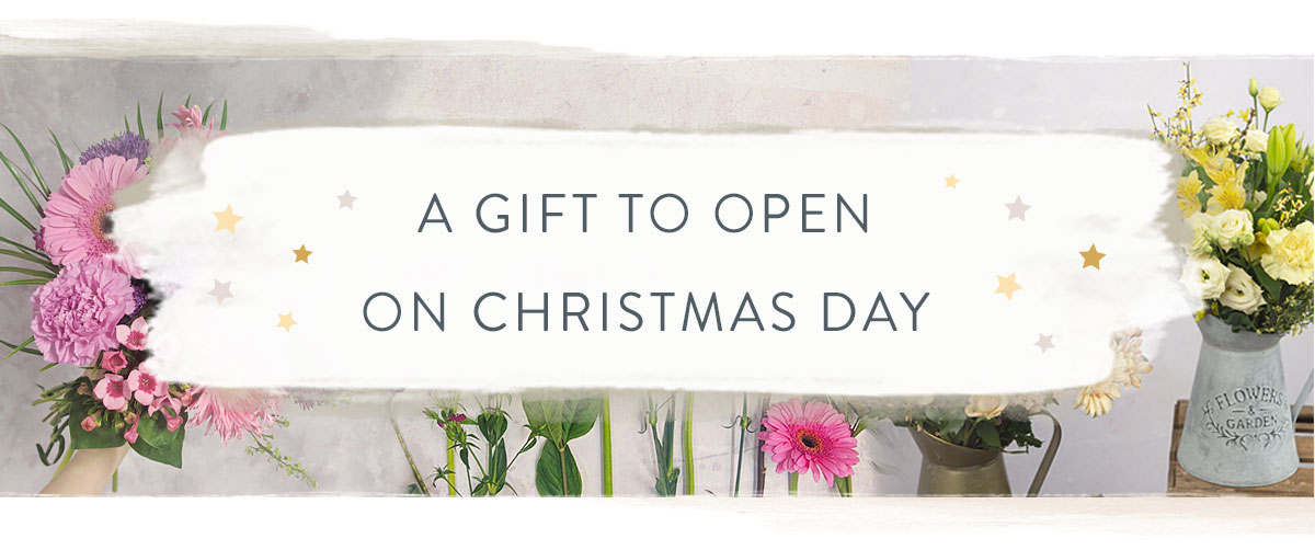 A gift to open on Christmas day