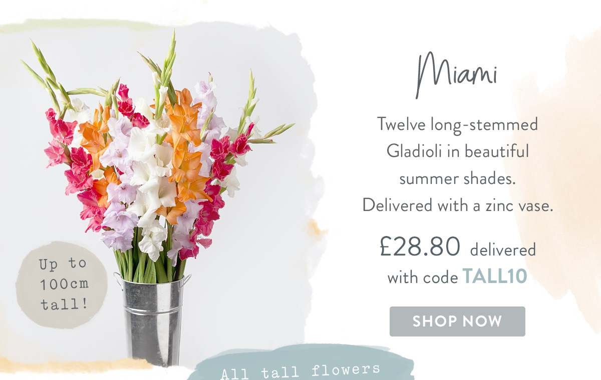 Miami - only &pound;28.80 with promo code