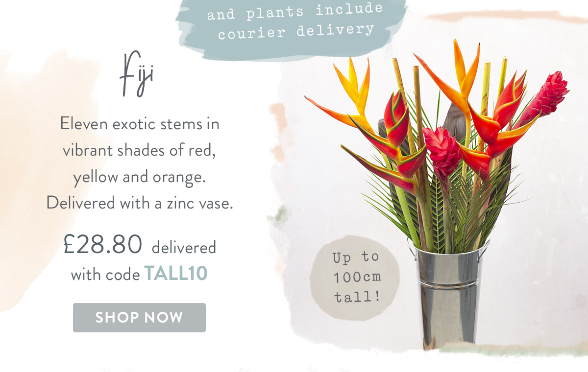 Fiji - only &pound;28.80 with promo code