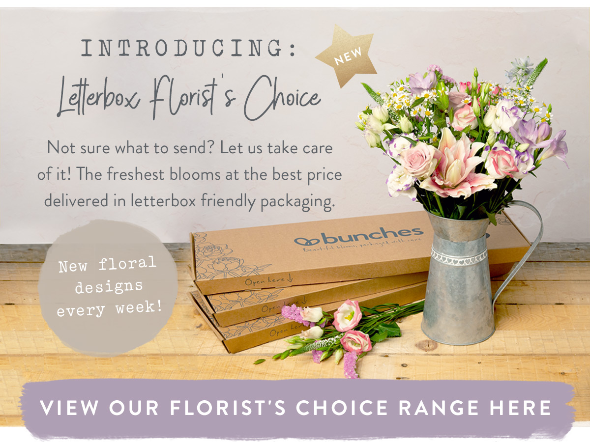 Letterbox Florsit's Choice - view our Florist's Choice range here