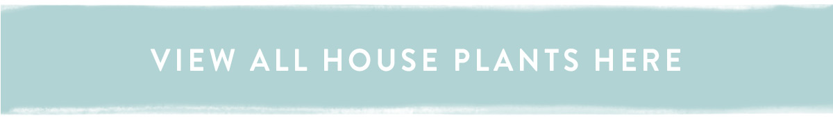 Click here to view all House Plants