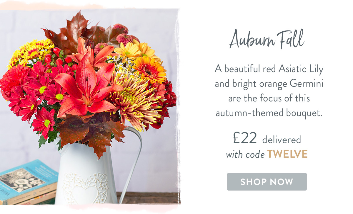 Auburn Fall - only &pound;22