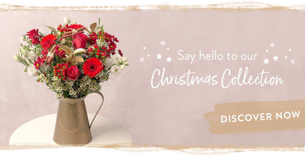 Welcome to our 2019 Christmas collection!