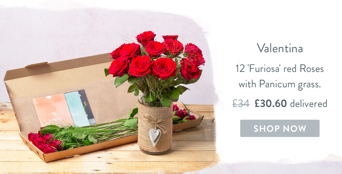 Valentina - only &pound;30.60