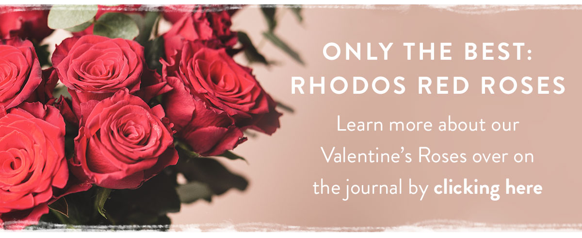 Valentine's Roses Information