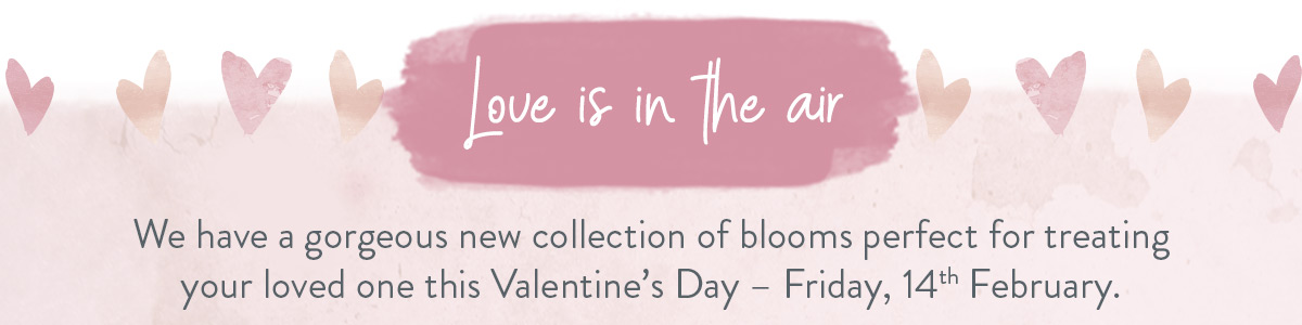 Valentine's Flowers