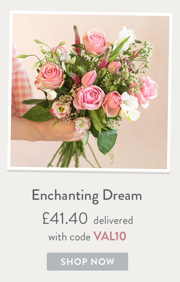 Enchanting Dream - only &pound;41.40 delivered