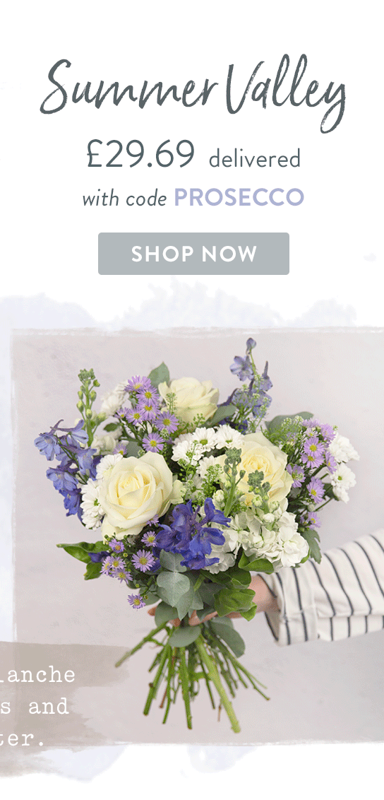 Summer Valley - Only &pound;29.69