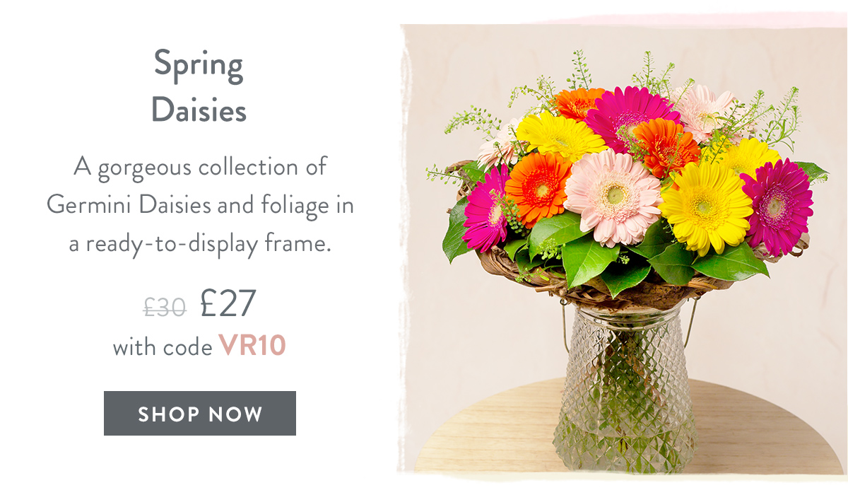 Spring Daisies - only &pound;27 delivered