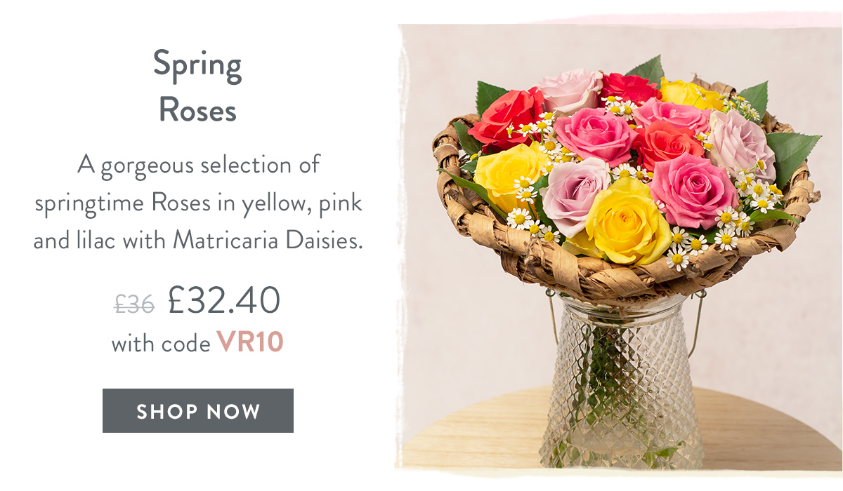Spring Roses - only &pound;32.40 delivered