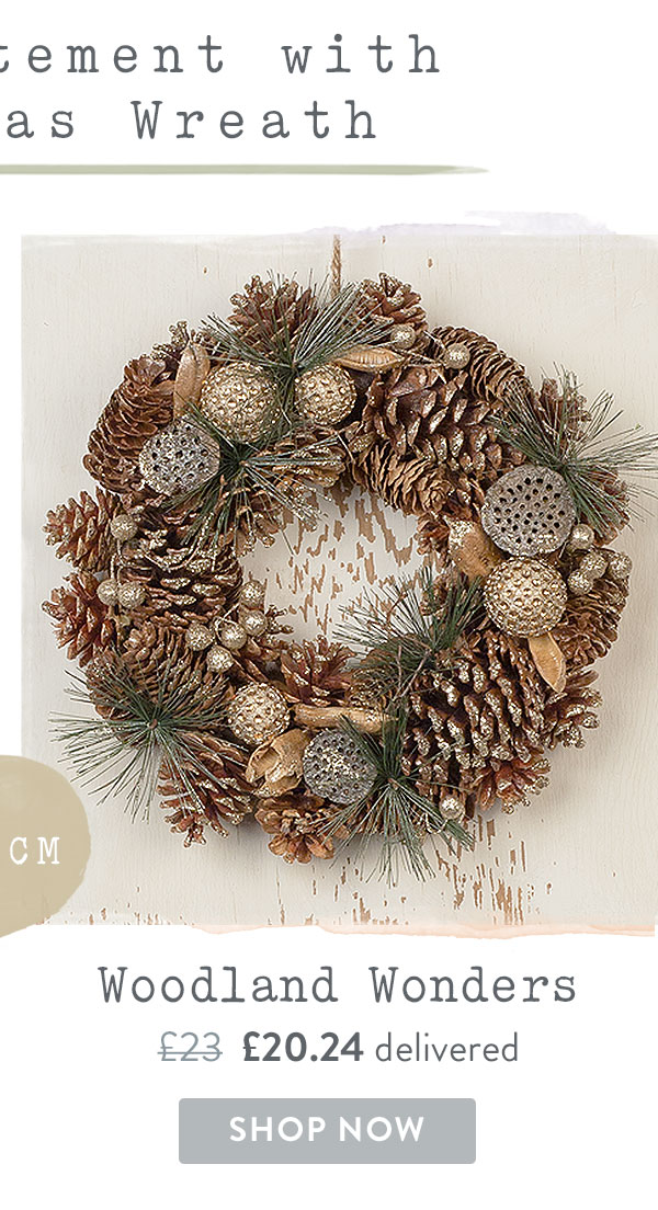 Woodland Wonders Wreath - Only &pound;20.24 delivered with code