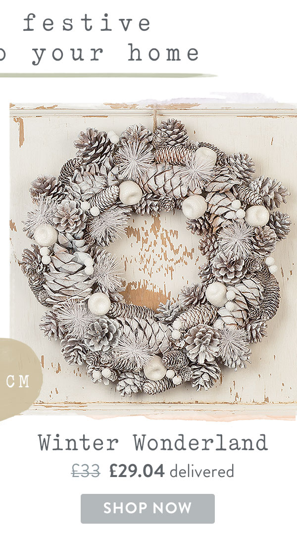 Winter Wonderland - Only &pound;29.04 delivered with code