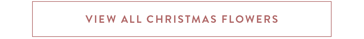 View our full range of Christmas flowers