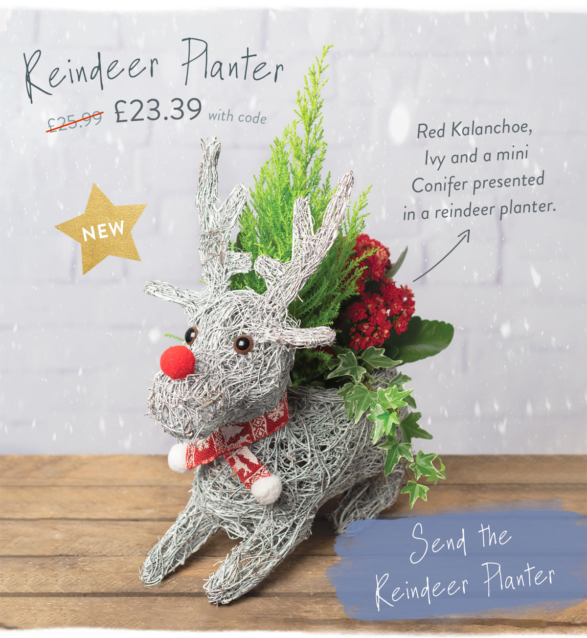Reindeer Planter - Only &pound;23.39