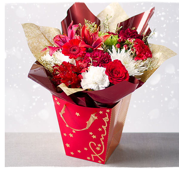 Merry Christmas Gift Bag - Only &pound;28.79