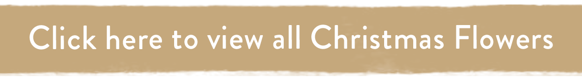 Click here to view all Christmas flowers