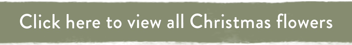 Click here to view all Christmas flowers