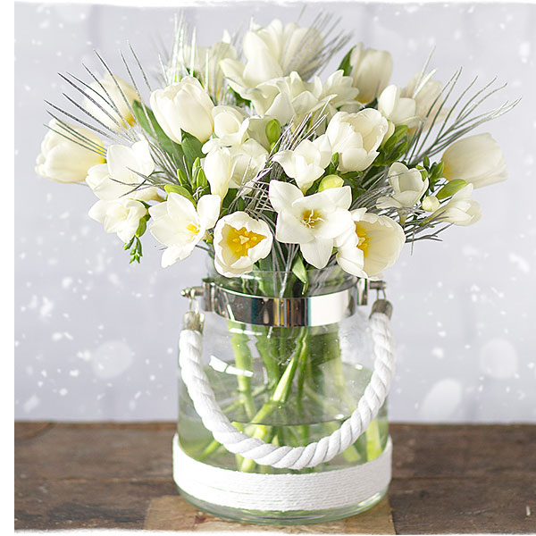 Winter Tulips & Freesias - Only &pound;22.99
