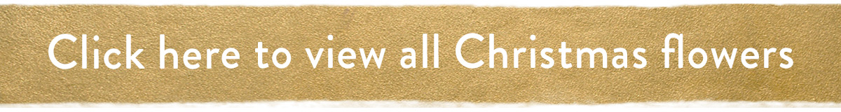 Click here to view all Christmas flowers