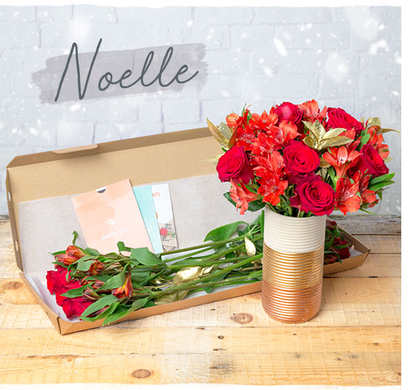Noelle - Only &pound;23.39