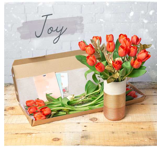 Joy - Only &pound;22.49