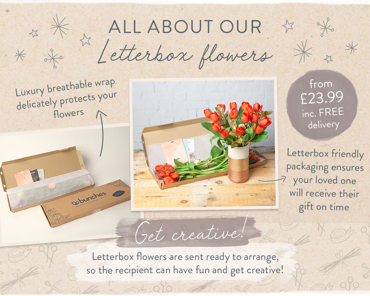 All about our Letterbox Flowers