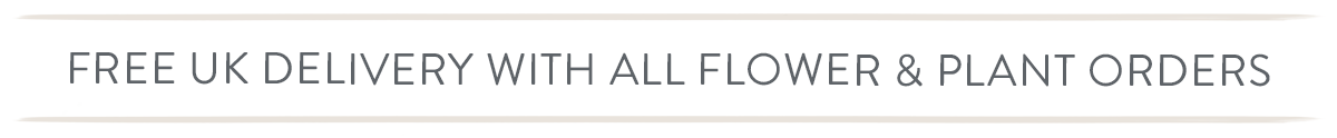 Free UK delivery on all flowers and plants
