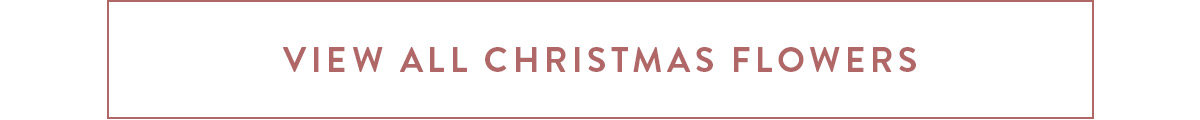 View our full range of Christmas Flowers