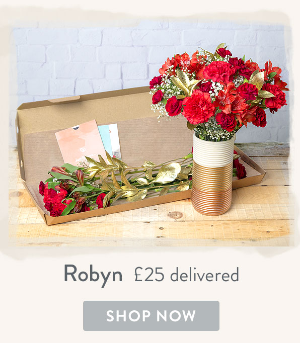Robyn - only &pound;25