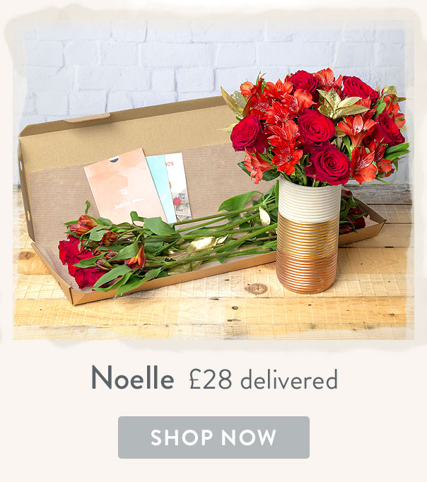 Noelle - only &pound;28