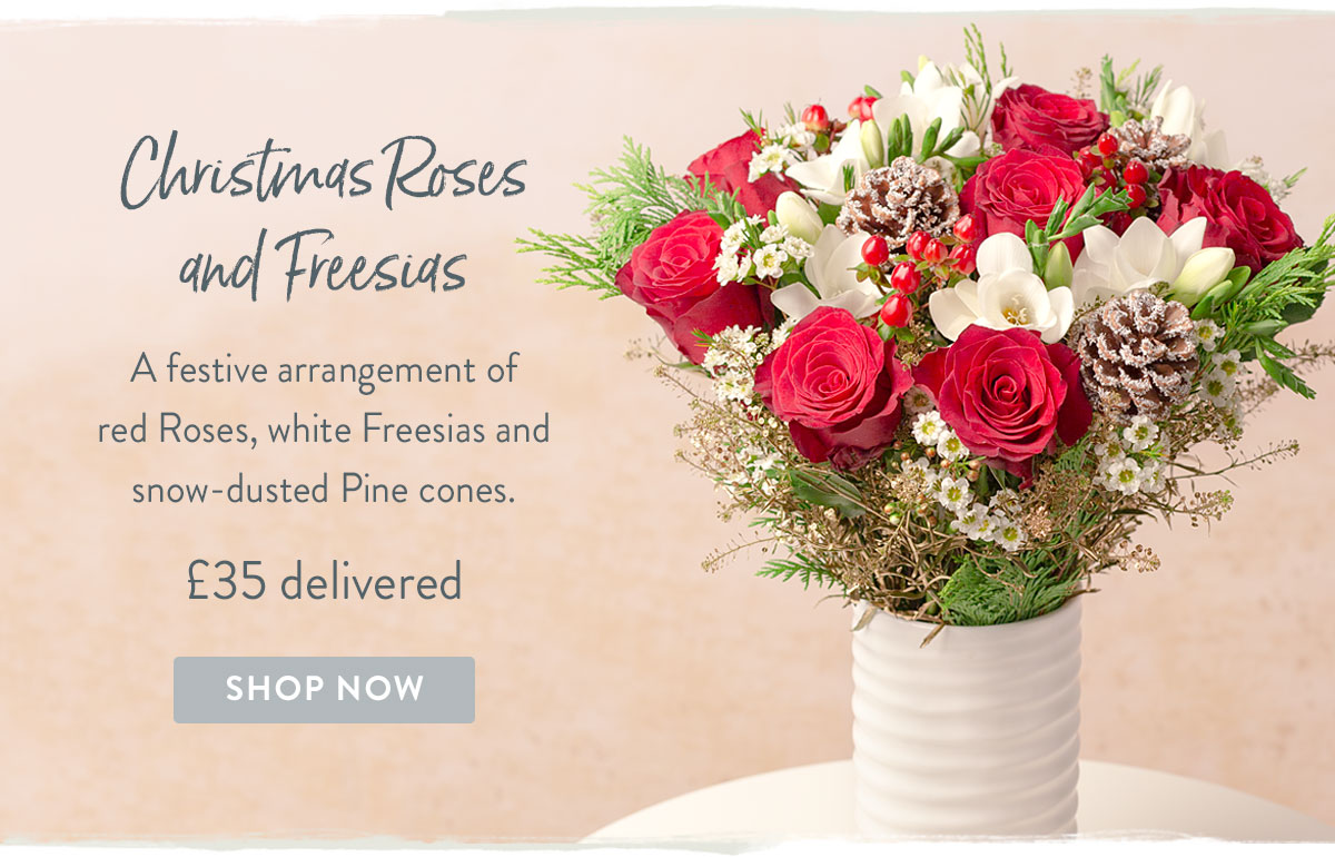 Christmas Roses and Freesias - only &pound;35