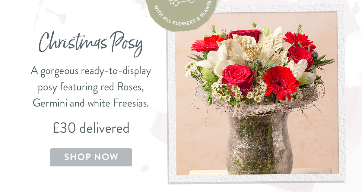 Christmas Posy - only &pound;30