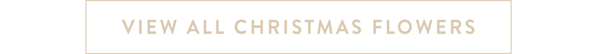 View all Christmas flowers