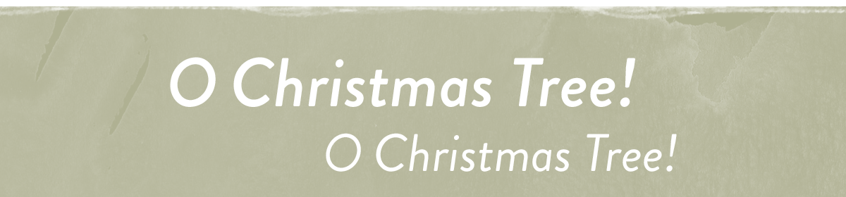O Christmas Tree! O Christmas Tree!