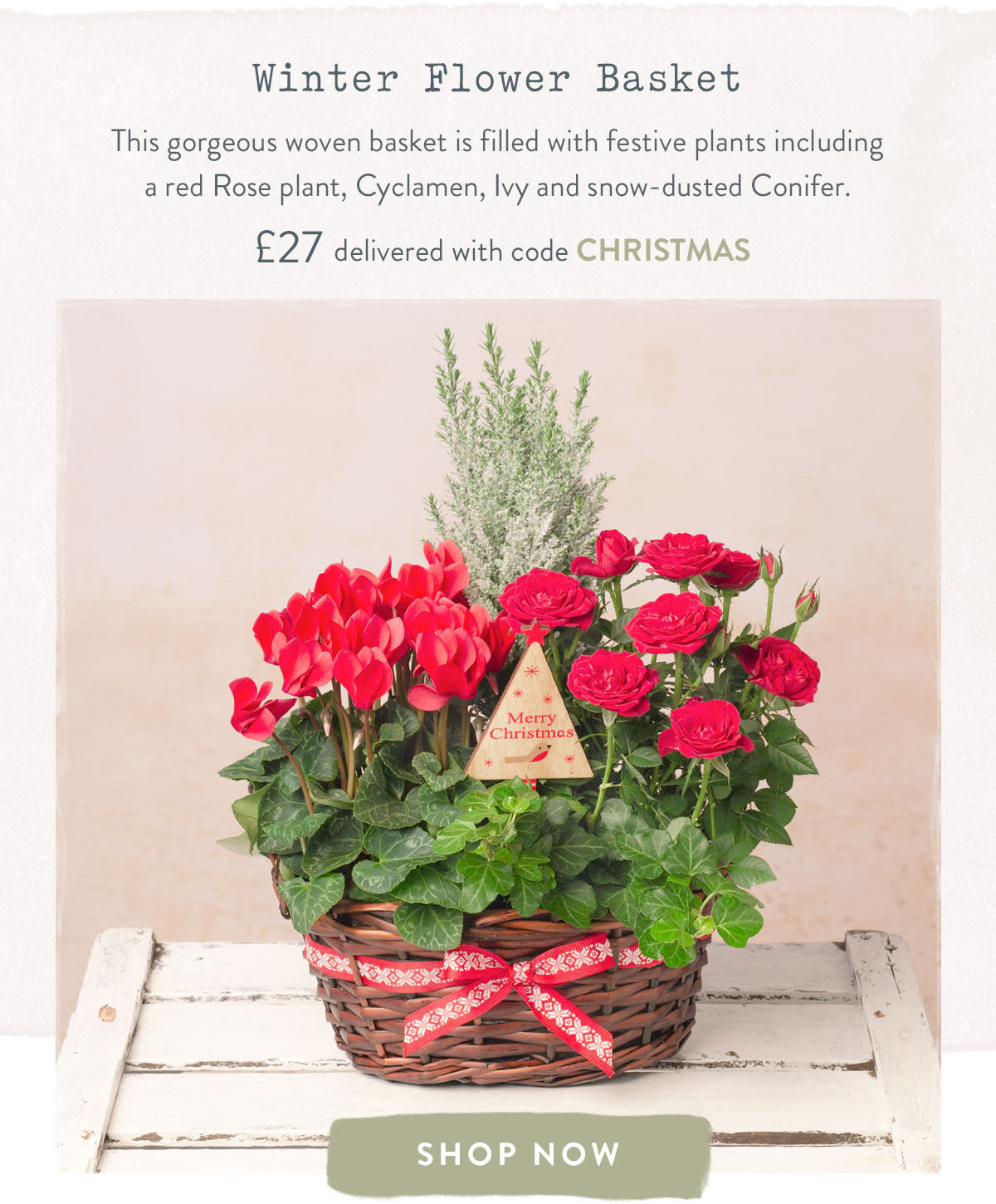 Winter Flower Basket - only &pound;27 delivered