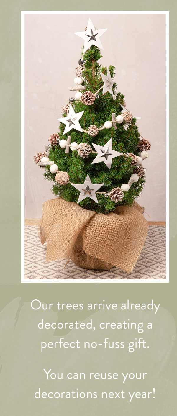 Starry Night Christmas Tree - Only &pound;36 delivered