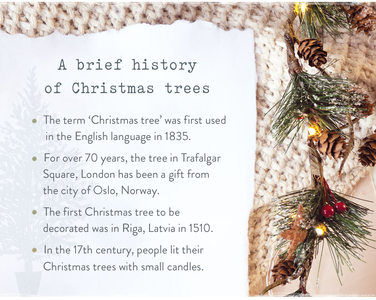 A brief history of Christmas Trees