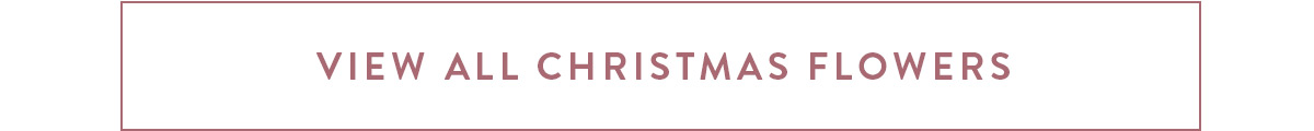 View all Christmas Flowers