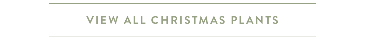 View all Christmas plants