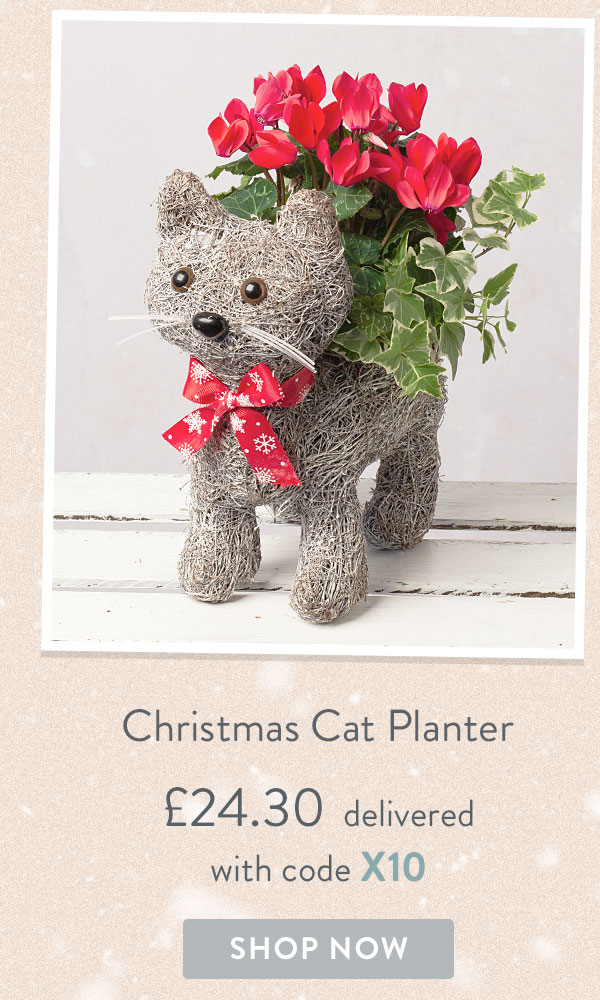Christmas Cat Planter - Only &pound;24.30 delivered with code