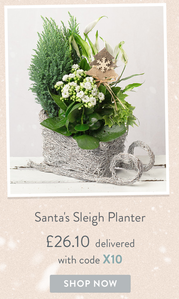 Santa's Sleigh Planter - Only &pound;26.10 delivered with code
