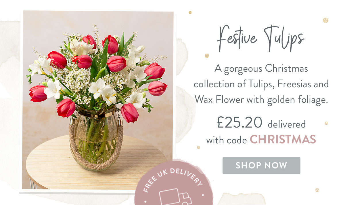 Festive Tulips - only &pound;25.20 with promo code