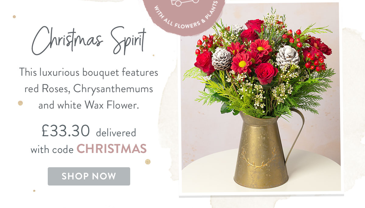 Christmas Spirit - only &pound;33.30 with promo code