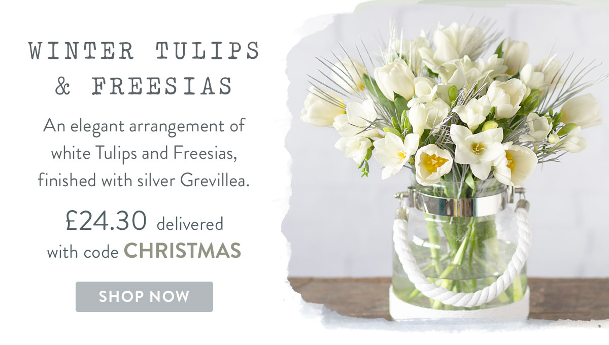 Winter Tulips & Freesias - only &pound;24.30 with promo code