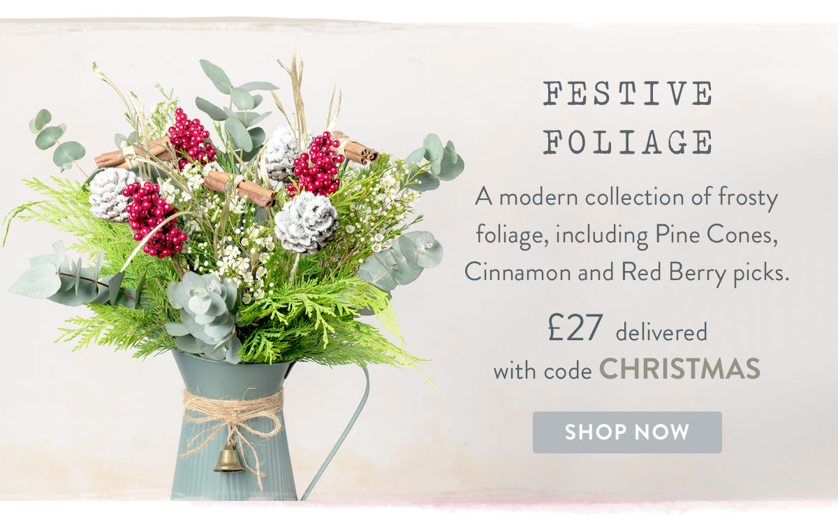 Festive Foliage - only &pound;27 with promo code