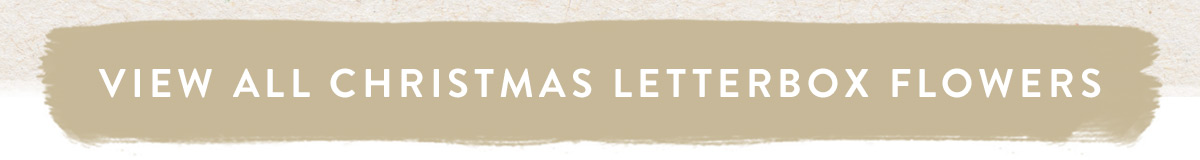 Click here to view Christmas Letterbox Flowers