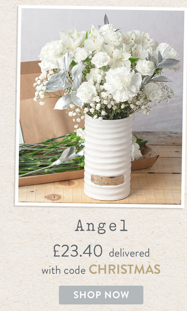 Angel - Only &pound;23.40 delivered with code