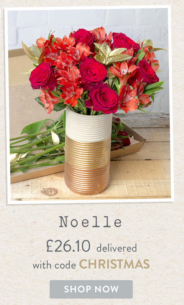 Noelle - Only &pound;26.10 delivered with code