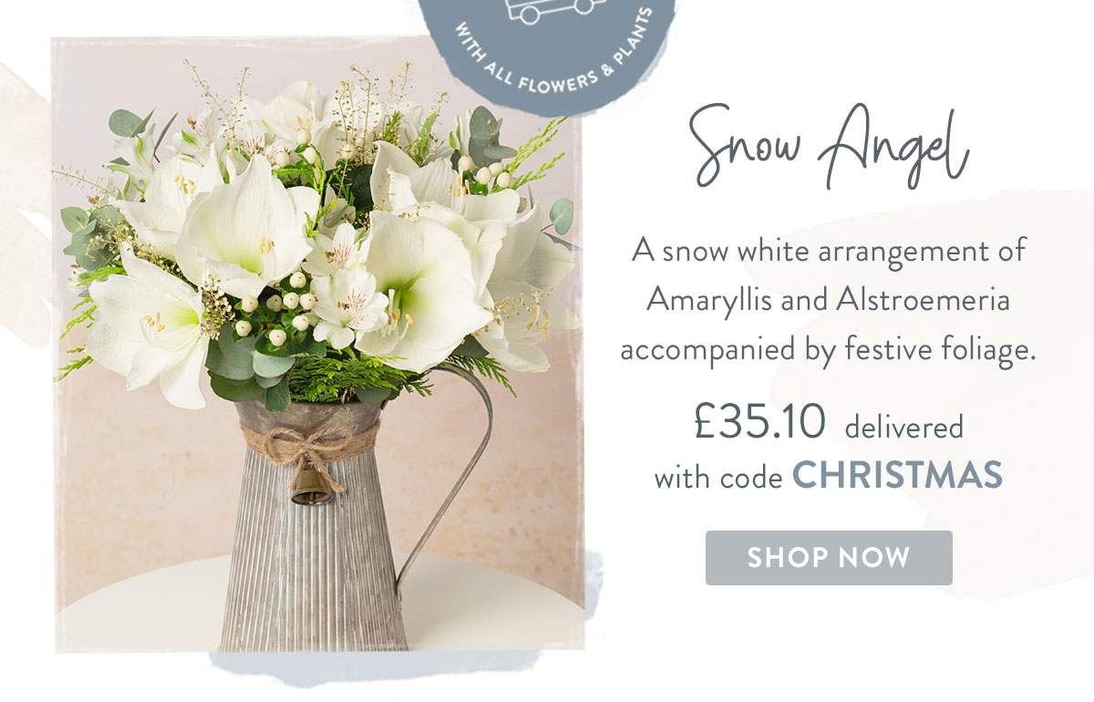 Snow Angel - only &pound;35.10 with promo code