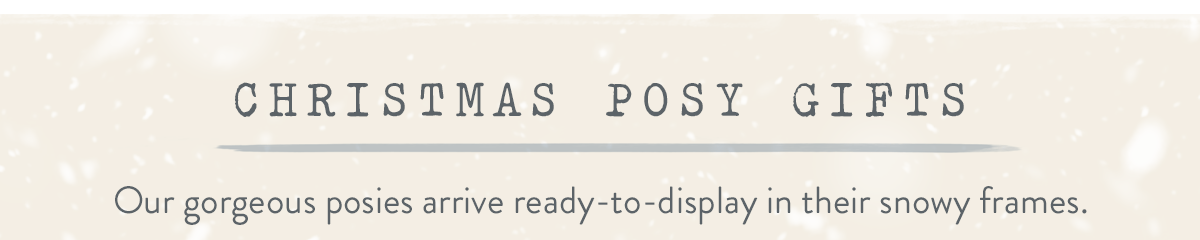 Christmas Posy Gifts